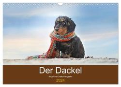 Der Dackel (Wandkalender 2024 DIN A3 quer), CALVENDO Monatskalender