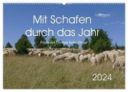 Mit Schafen durch das Jahr (Wandkalender 2024 DIN A2 quer), CALVENDO Monatskalender
