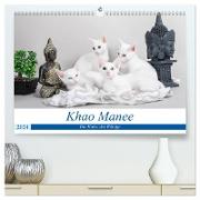 Khao Manee - Die Katze der Könige (hochwertiger Premium Wandkalender 2024 DIN A2 quer), Kunstdruck in Hochglanz