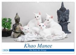 Khao Manee - Die Katze der Könige (Wandkalender 2024 DIN A2 quer), CALVENDO Monatskalender