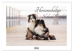 Herzensshelties - Shetland Sheepdogs (Wandkalender 2024 DIN A2 quer), CALVENDO Monatskalender