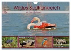 Wildes Südfrankreich (Wandkalender 2024 DIN A4 quer), CALVENDO Monatskalender