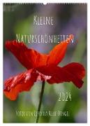 Kleine Naturschönheiten (Wandkalender 2024 DIN A2 hoch), CALVENDO Monatskalender