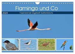Flamingo und Co - Faszinierende Vogelwelt Südfrankreichs (Wandkalender 2024 DIN A4 quer), CALVENDO Monatskalender