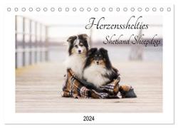 Herzensshelties - Shetland Sheepdogs (Tischkalender 2024 DIN A5 quer), CALVENDO Monatskalender