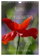 Kleine Naturschönheiten (Wandkalender 2024 DIN A4 hoch), CALVENDO Monatskalender
