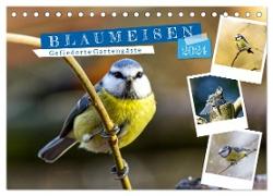 Gefiederte Gartengäste, Blaumeisen (Tischkalender 2024 DIN A5 quer), CALVENDO Monatskalender