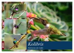 Kolibris - Edelsteine der Lüfte (Wandkalender 2024 DIN A2 quer), CALVENDO Monatskalender