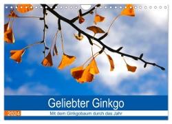 Geliebter Ginkgo (Wandkalender 2024 DIN A4 quer), CALVENDO Monatskalender