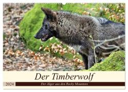 Der Timberwolf - Der Jäger aus den Rocky Mountains (Wandkalender 2024 DIN A2 quer), CALVENDO Monatskalender