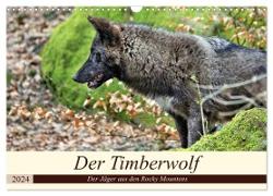 Der Timberwolf - Der Jäger aus den Rocky Mountains (Wandkalender 2024 DIN A3 quer), CALVENDO Monatskalender