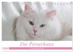 Die Perserkatze - Farbschlag Weiß (Tischkalender 2024 DIN A5 quer), CALVENDO Monatskalender