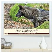 Der Timberwolf - Der Jäger aus den Rocky Mountains (hochwertiger Premium Wandkalender 2024 DIN A2 quer), Kunstdruck in Hochglanz