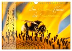 Im Goldenen Glanz der Sonnenblume (Wandkalender 2024 DIN A4 quer), CALVENDO Monatskalender