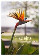 Madeira - wiederentdeckt (Wandkalender 2024 DIN A3 hoch), CALVENDO Monatskalender