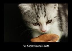 Für Katzenfreunde 2024 Fotokalender DIN A3