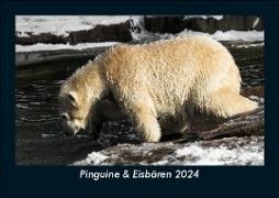 Pinguine & Eisbären 2024 Fotokalender DIN A5