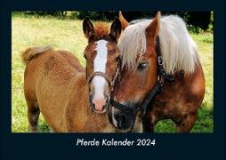 Pferde Kalender 2024 Fotokalender DIN A4