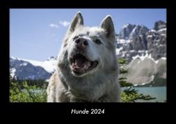Hunde 2024 Fotokalender DIN A3