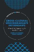 Cross-Cultural Undergraduate Internships
