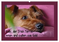 Kelly, der Irish Terrier - innen und außen aus Gold (Wandkalender 2024 DIN A2 quer), CALVENDO Monatskalender