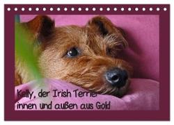 Kelly, der Irish Terrier - innen und außen aus Gold (Tischkalender 2024 DIN A5 quer), CALVENDO Monatskalender