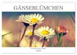 Gänseblümchen Poesie (Wandkalender 2024 DIN A2 quer), CALVENDO Monatskalender