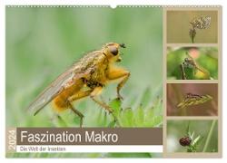 Faszination Makro - Die Welt der Insekten (Wandkalender 2024 DIN A2 quer), CALVENDO Monatskalender