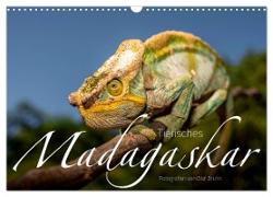 Tierisches Madagaskar (Wandkalender 2024 DIN A3 quer), CALVENDO Monatskalender