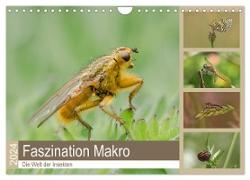 Faszination Makro - Die Welt der Insekten (Wandkalender 2024 DIN A4 quer), CALVENDO Monatskalender