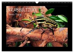 Krabbeltiere (Wandkalender 2024 DIN A3 quer), CALVENDO Monatskalender