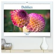 Dahlien - Blumenwunder der Natur (hochwertiger Premium Wandkalender 2024 DIN A2 quer), Kunstdruck in Hochglanz