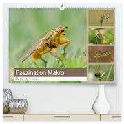 Faszination Makro - Die Welt der Insekten (hochwertiger Premium Wandkalender 2024 DIN A2 quer), Kunstdruck in Hochglanz