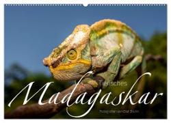 Tierisches Madagaskar (Wandkalender 2024 DIN A2 quer), CALVENDO Monatskalender