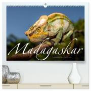 Tierisches Madagaskar (hochwertiger Premium Wandkalender 2024 DIN A2 quer), Kunstdruck in Hochglanz