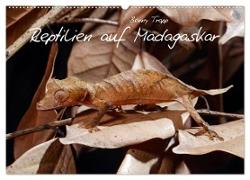 Reptilien auf Madagaskar (Wandkalender 2024 DIN A2 quer), CALVENDO Monatskalender