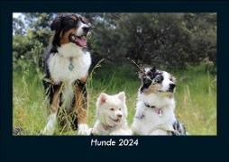 Hunde 2024 Fotokalender DIN A5