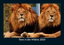 Tiere in der Wildnis 2024 Fotokalender DIN A5