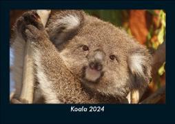 Koala 2024 Fotokalender DIN A5
