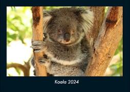 Koala 2024 Fotokalender DIN A4