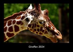 Giraffen 2024 Fotokalender DIN A3