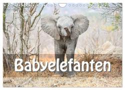 Babyelefanten (Wandkalender 2024 DIN A4 quer), CALVENDO Monatskalender