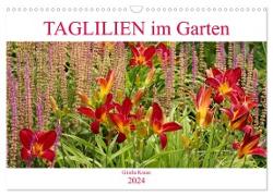 Taglilien im Garten (Wandkalender 2024 DIN A3 quer), CALVENDO Monatskalender