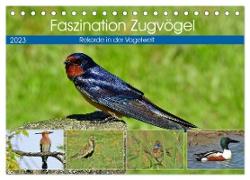 Faszination Zugvögel - Rekorde in der Vogelwelt (Tischkalender 2024 DIN A5 quer), CALVENDO Monatskalender