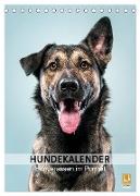 Hundekalender - Hunderassen im Portrait (Tischkalender 2024 DIN A5 hoch), CALVENDO Monatskalender