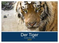 Der Tiger - die größte Katze der Welt (Wandkalender 2024 DIN A4 quer), CALVENDO Monatskalender