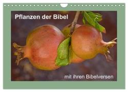 Pflanzen der Bibel (Wandkalender 2024 DIN A4 quer), CALVENDO Monatskalender