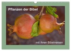 Pflanzen der Bibel (Wandkalender 2024 DIN A3 quer), CALVENDO Monatskalender