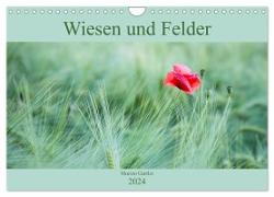 Wiesen und Felder (Wandkalender 2024 DIN A4 quer), CALVENDO Monatskalender
