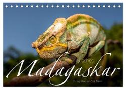 Tierisches Madagaskar (Tischkalender 2024 DIN A5 quer), CALVENDO Monatskalender